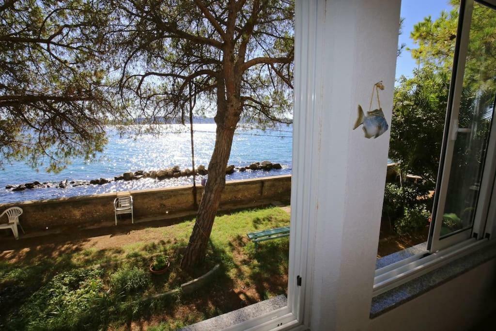 Seafront Beach Apartment - Directly At The Beach Zara Esterno foto